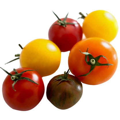 Ontario Tomatoes - February to December
