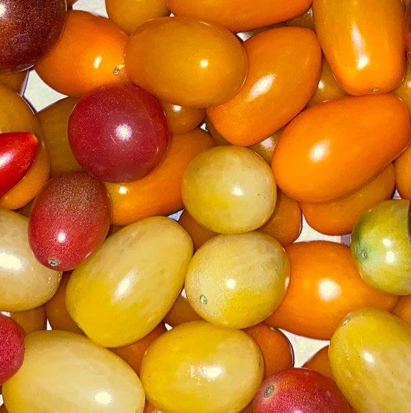Ontario Tomatoes - February to December