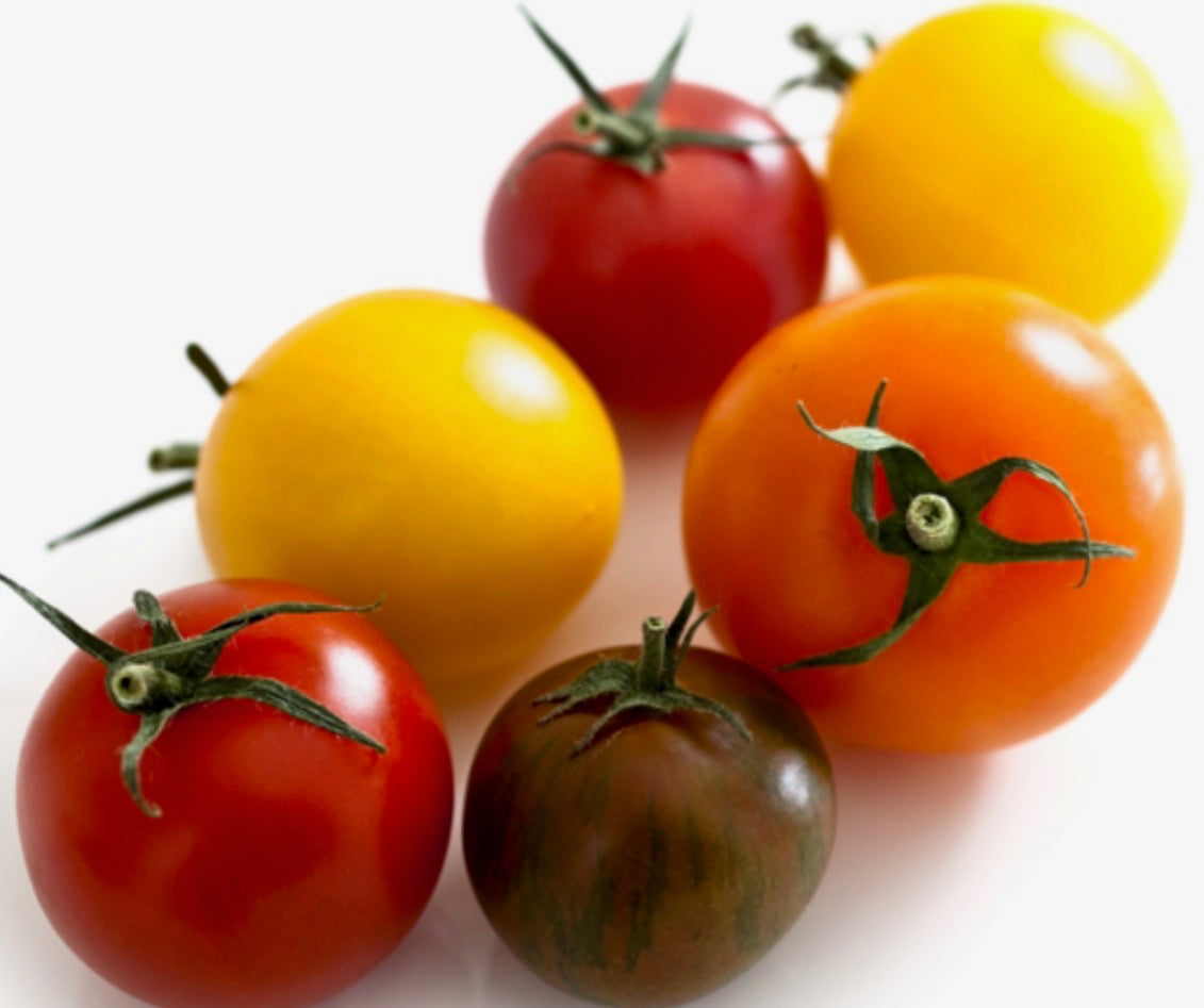 Holland Marsh Tomatoes