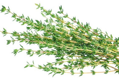 Holland Marsh Herbs
