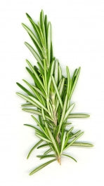 Holland Marsh Herbs