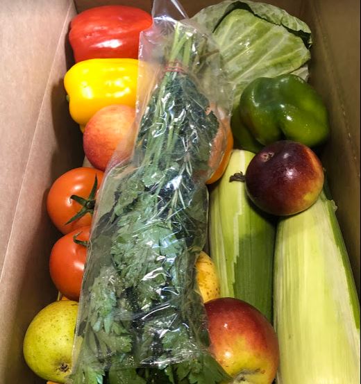 Holiday Gift Bag - Fruits and Veggies  (Items may be different then photo).