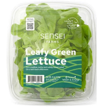 Holland Marsh Lettuce