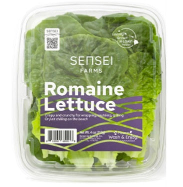 Holland Marsh Lettuce