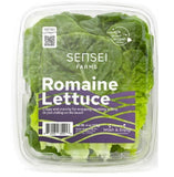 Lettuce - All year