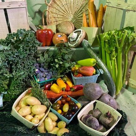 Fresh Produce Box - Small (2-3 people) with Eggs – Holland Marsh Food Market