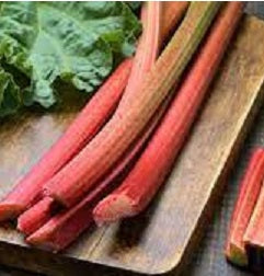 Holland Marsh Rhubarb Bundle – Bradford, ON