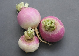 Holiday Gift Bag - Fruits and Veggies - Pick Your Own