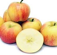 Ontario Apples