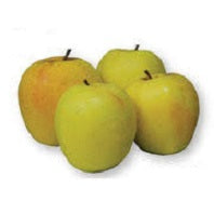 Ontario Apples
