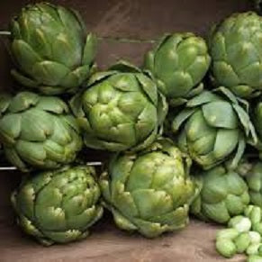Artichoke – Holland Marsh Food Market