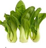 Holland Marsh Greens