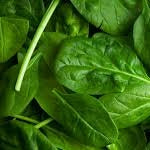 Holland Marsh Greens
