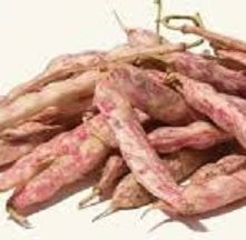 Holland Marsh Beans
