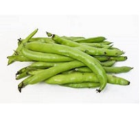 Holland Marsh Beans