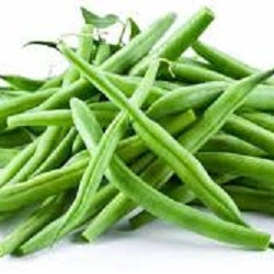 Holland Marsh Beans