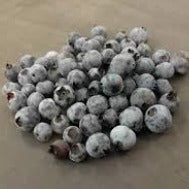 Ontario Berries