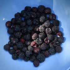 Ontario Berries