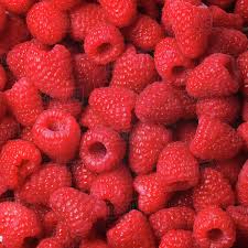 Ontario Berries