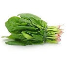 Holland Marsh Greens