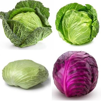 Holland Marsh Cabbage – Bradford, ON