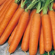 Holland Marsh Carrots
