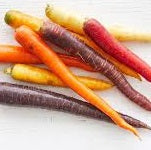Carrots - July to May