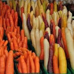 Holland Marsh Carrots – Bradford, ON