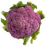 Cauliflower - June to November