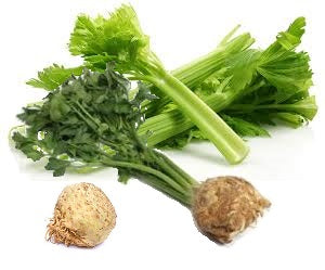 Holland Marsh Celery – Bradford, ON