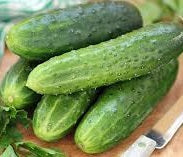 Field Cucumbers for Relish