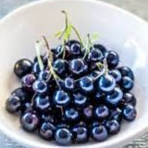 Ontario Currants