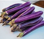 Holland Marsh Eggplant