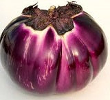 Holland Marsh Eggplant