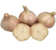 Holland Marsh Garlic