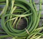 Holland Marsh Garlic