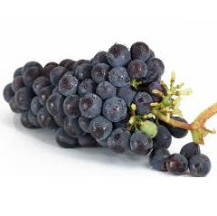 Ontario Grapes