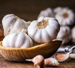 Garlic - July to February