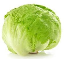 Holland Marsh Lettuce