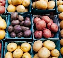 Holland Marsh Potatoes – Bradford, ON