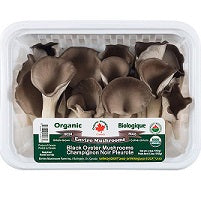 Ontario Mushrooms