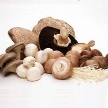 Ontario Mushrooms – Holland Marsh Food Market