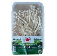Ontario Mushrooms