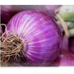 Holland Marsh Onions