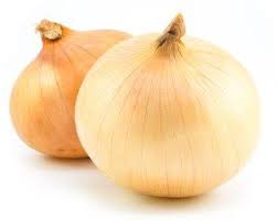 Holland Marsh Onions
