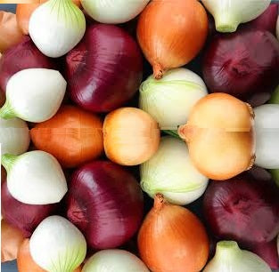 Holland Marsh Onions – Bradford, ON