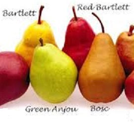 Ontario Pears – Holland Marsh Food Market