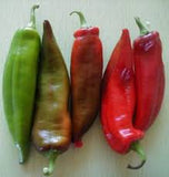 Peppers - Hot - July to October