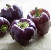 Holland Marsh Sweet Peppers