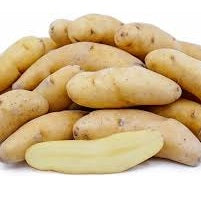 Holland Marsh Potatoes